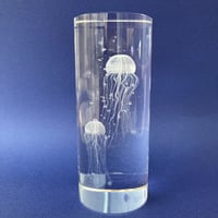 ３Dアート　アカクラゲ