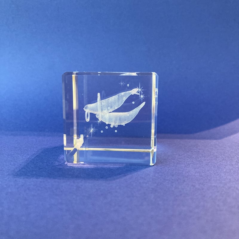 アクアスオリジナル 3Dアートバブル＆ミラクル | AQUAS Gift Shop / on