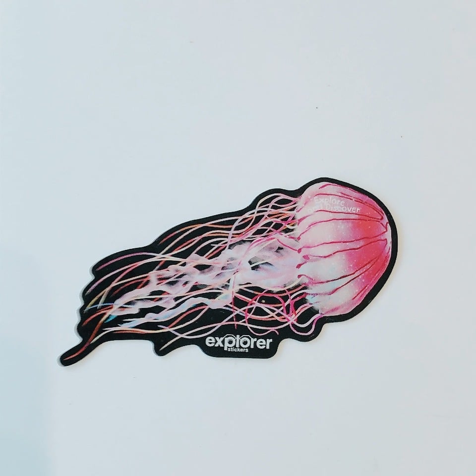 ステッカーズ | AQUAS Gift Shop / online store
