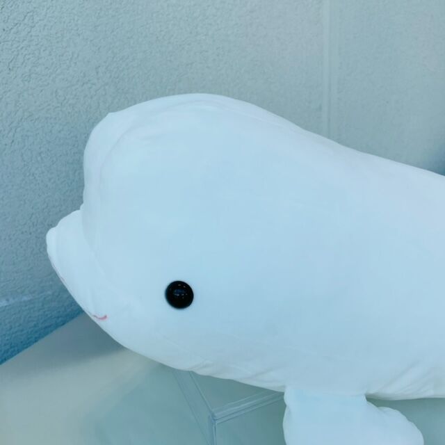 AQUASオリジナル もっちもちシロイルカ 2L | AQUAS Gift Shop / o