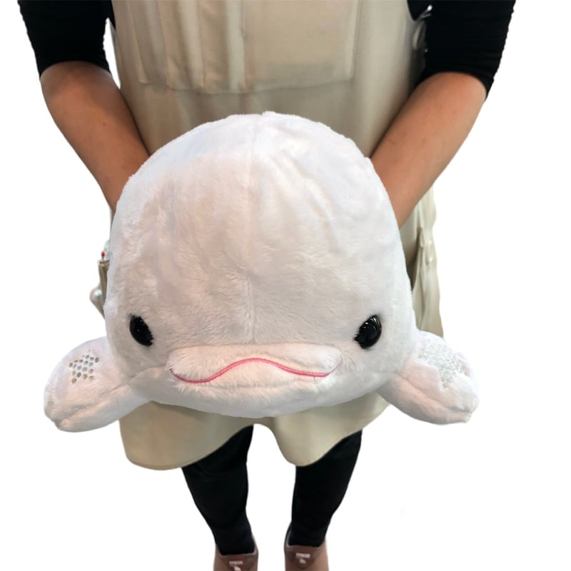 Twinkle ⭐︎Beluga 〜幸せを呼ぶシロイルカ〜 | AQUAS Gift Shop Twinkle ⭐︎Beluga 〜幸せを呼ぶシロイルカ〜 | AQUAS Gift Shop