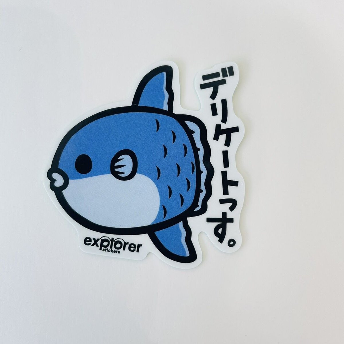 AQUA♧草 　カッティングステッカー AQUA♧草 カッティングステッカー Amazon.co.jp: AQUA アクア 二