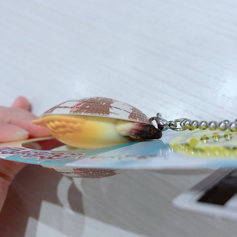 あさりのみずピゅー | AQUAS Gift Shop / online store