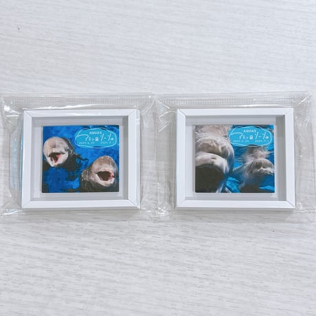 CATEGORY 雑貨 | AQUAS Gift Shop / online store