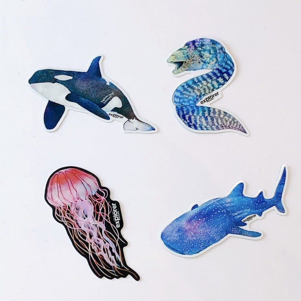 ステッカーズ | AQUAS Gift Shop / online store