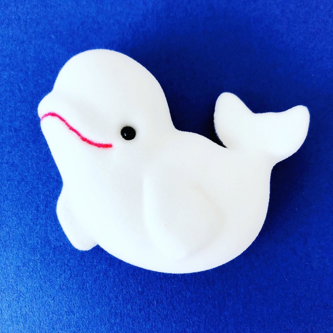 flockys（フロッキー）シロイルカマグネット | AQUAS Gift Shop / o