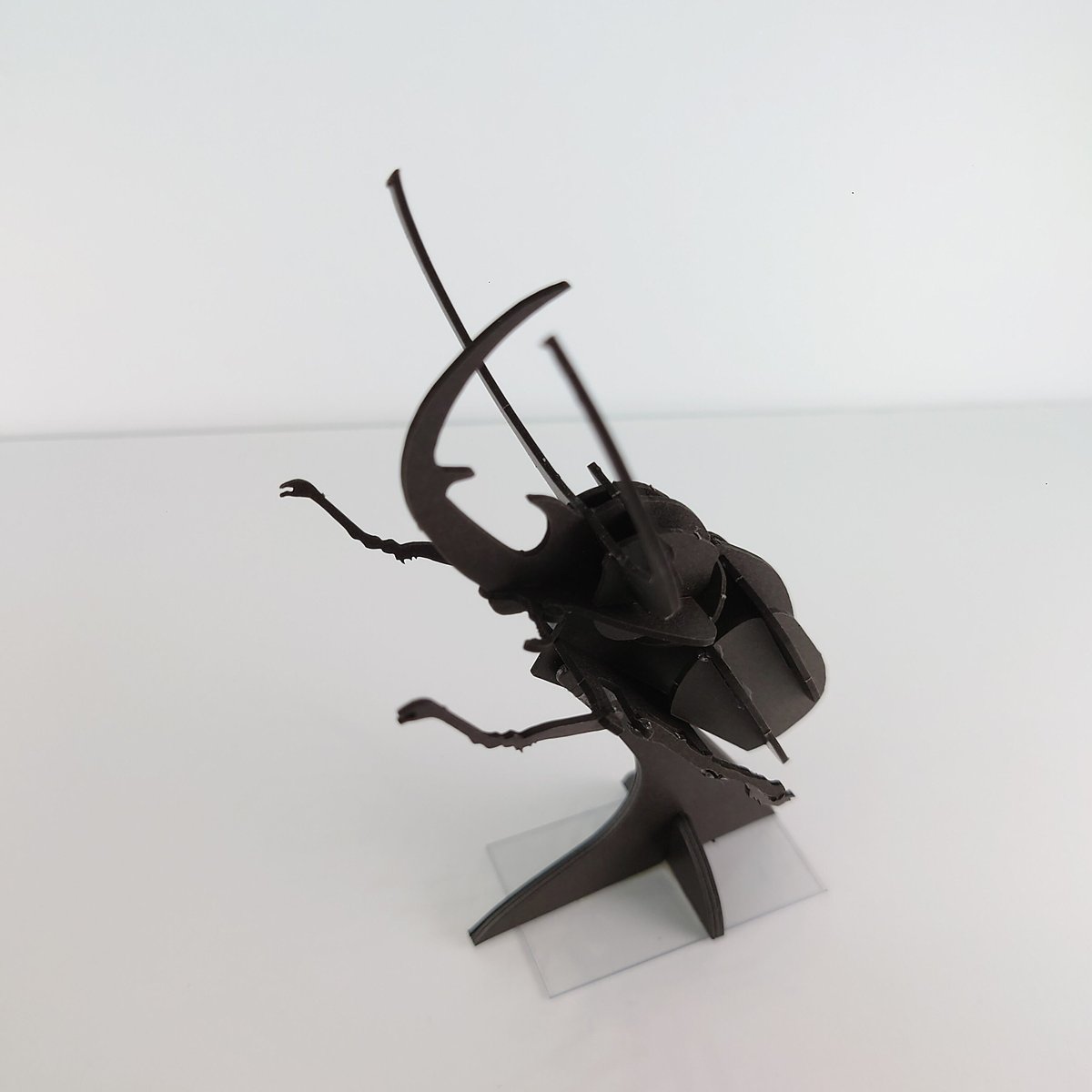 3Dペーパーパズル コーカサスオオカブト | AQUAS Gift Shop 3Dペーパーパズル コーカサスオオカブト | AQUAS Gift Shop