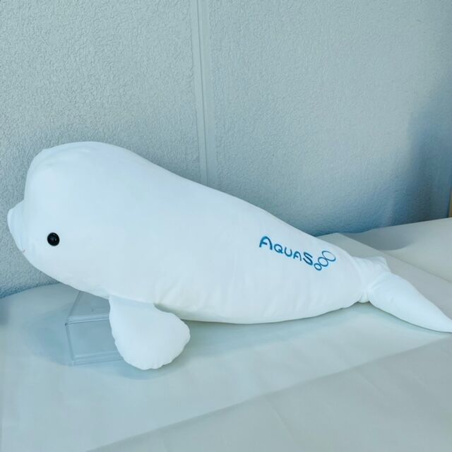 シロイルカ　ぬいぐるみ　LLLサイズ 41SMtxiUapL._UF350,350_QL50_.jpg