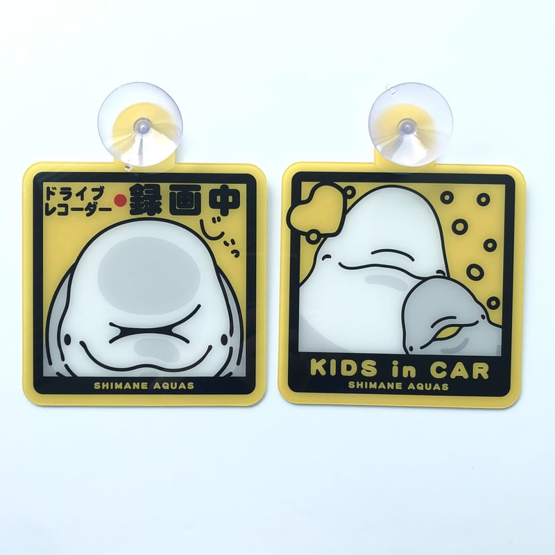 アクアマジックCD + サイン入りカードセット Zodiac Playing Cards by