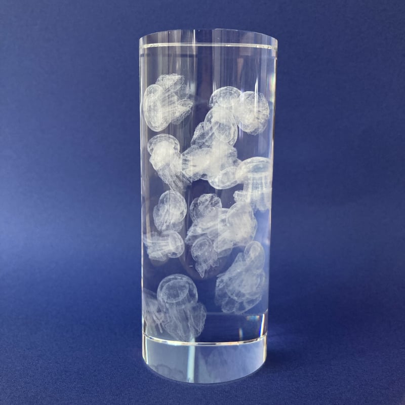 3Dアート タコクラゲ | AQUAS Gift Shop / online store
