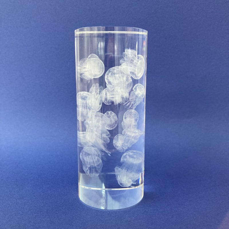 3Dアート タコクラゲ | AQUAS Gift Shop / online store 3Dアート タコクラゲ | AQUAS Gift Shop / online store