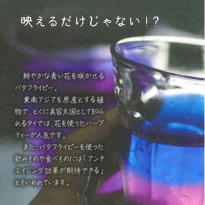魔法のように色が変わる青いお茶 高津川マジックアワー バタフライピー