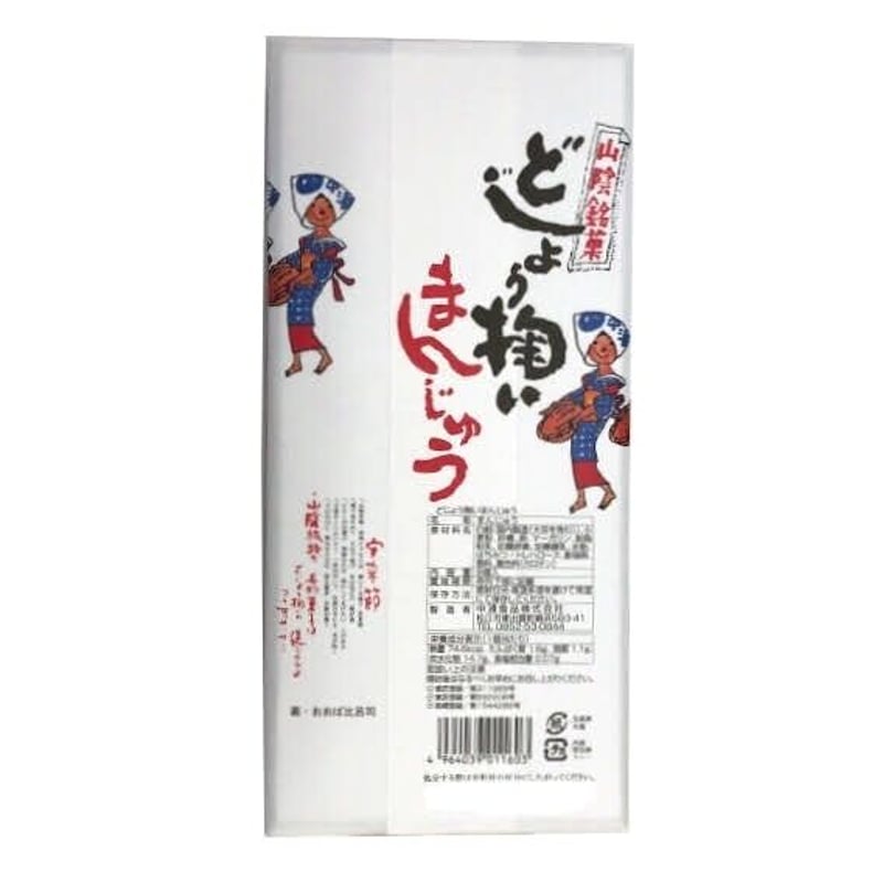 ご当地ベア 廃盤・レア 下松市栽培漁業センター 保津川下り 京都タワー Sサイズ ご当地ベア 廃盤・レア 下松市栽培漁業センター 保津川下り 京都