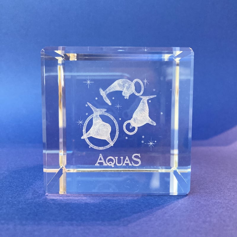 アクアスオリジナル 3Dアート3種の技 | AQUAS Gift Shop