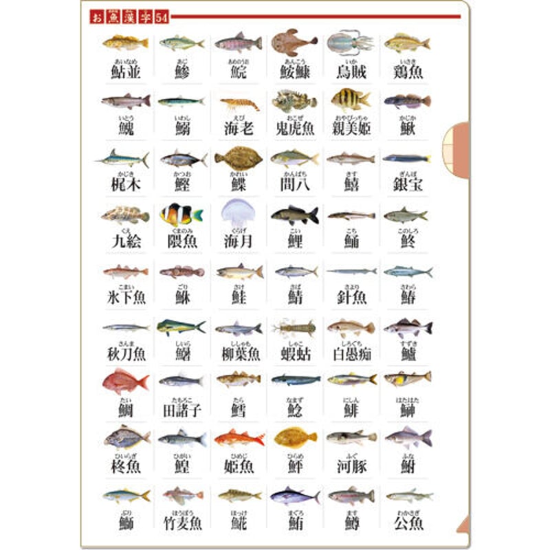 クリアファイル お魚漢字54 | AQUAS Gift Shop / online store