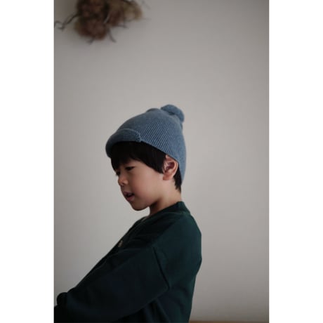 poche  /  pomcap  - conifer