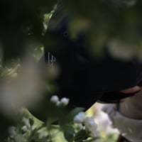 【 PRE ORDER / クリックポスト発送 】poche  /  LPMA cap - ink blue