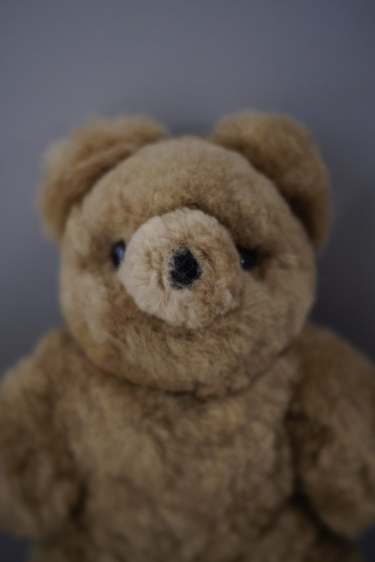 ラスト1点 】ALPAKA / Sami Teddy Bear 30 | RITAPA