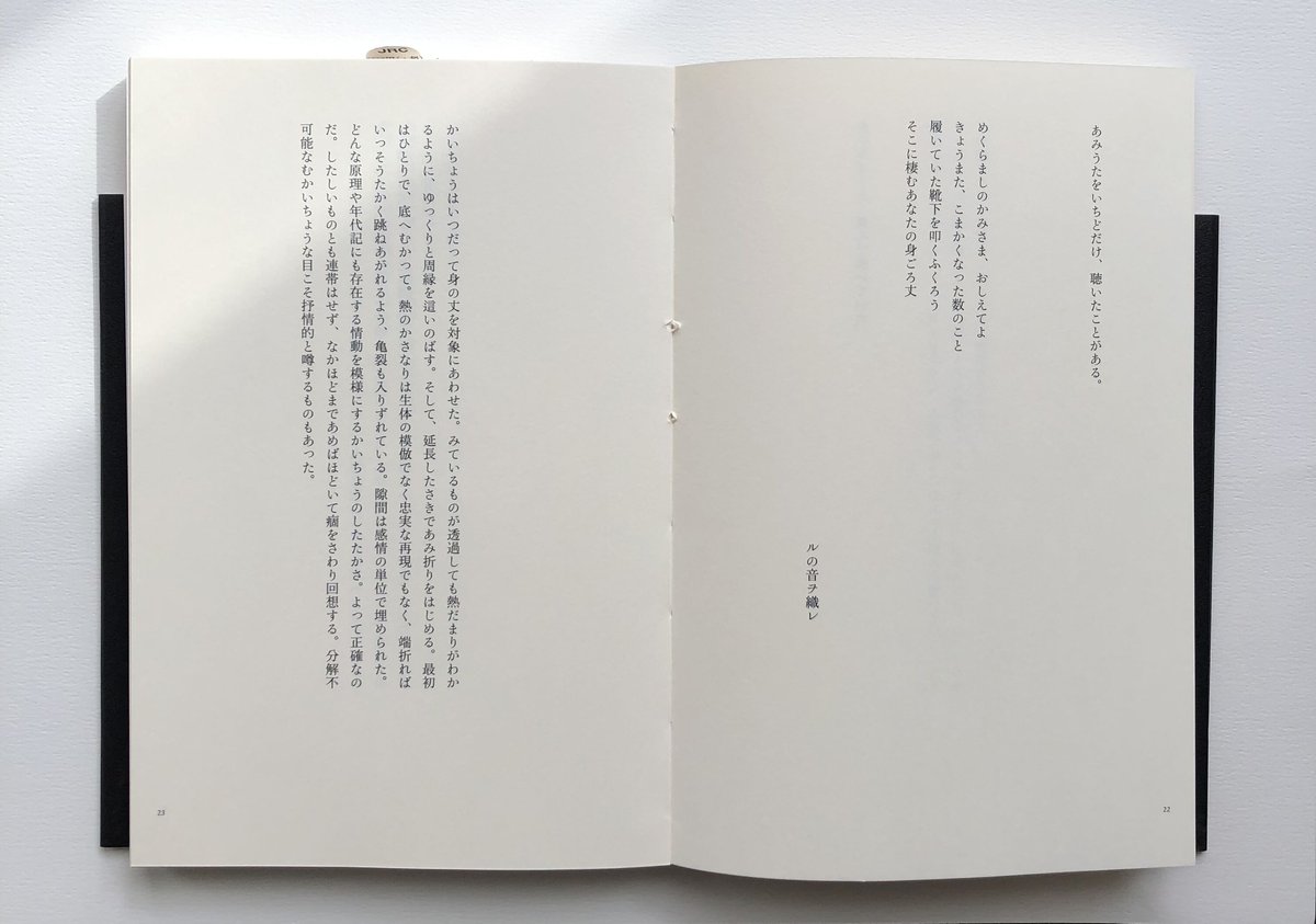 どうぶつの修復 | 書肆のらぼう