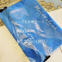 MIRACULOUS BAG