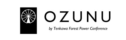 OZUNU STORE