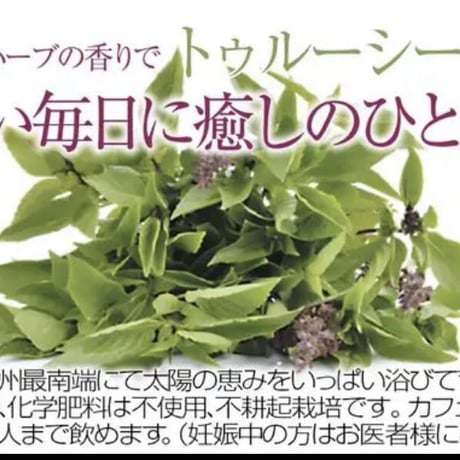プチギフト✩︎お試し✩︎2023新茶✩︎和歌山県産ホーリーバジル茶