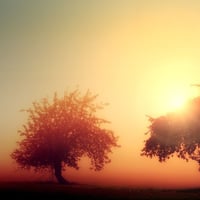 Under The Sun