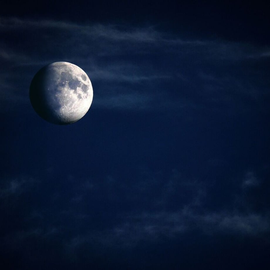 63f529407c42ee2436313df8