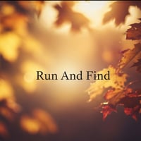 Run And Find
