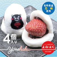 【夏・秋いちご大福】長野県産           サマーリリカル使用｜4個入