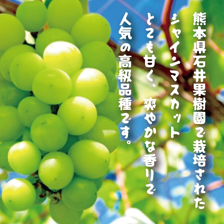 64d06d4ad648d1002bd9f93d