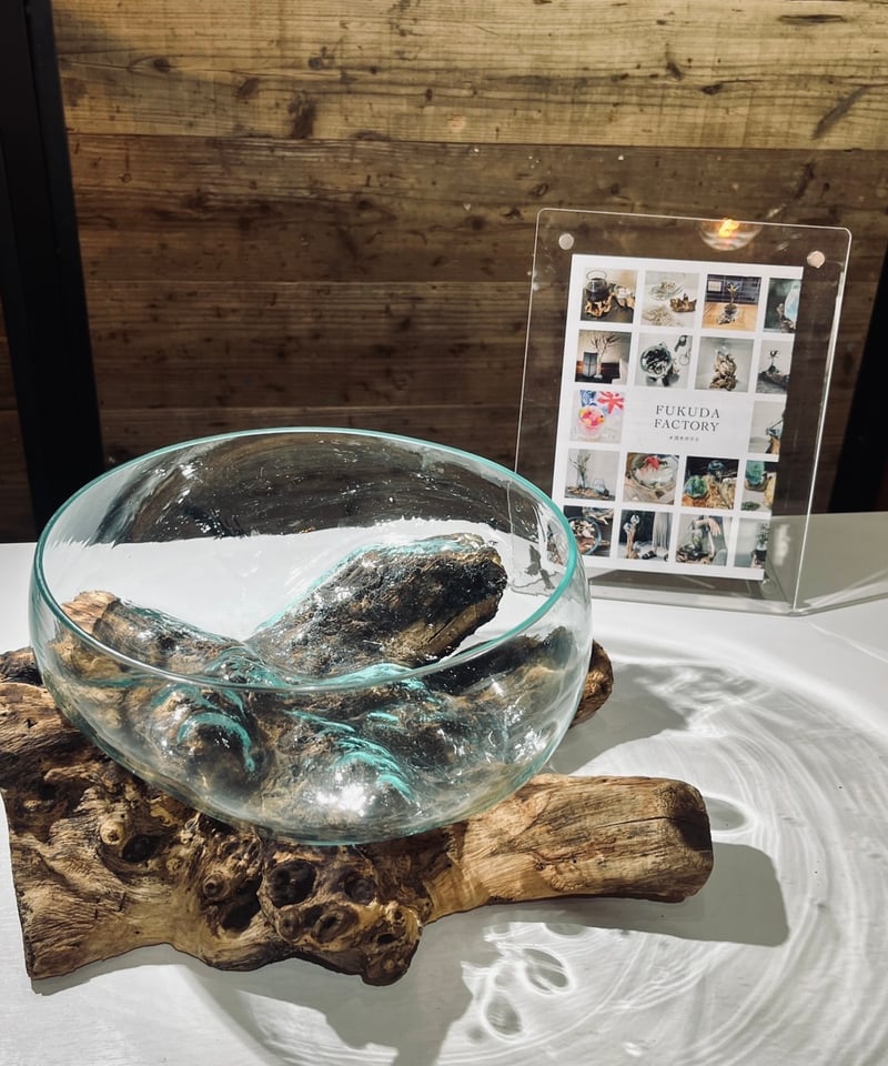 現品商品No.351】WIDE ワイド / XL | 流木ガラス専門店 FUKUDA F