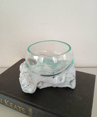 【現品商品No.229】WIDE ワイド / S  WHITE限定