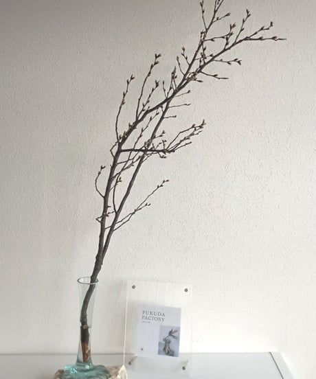 FLOWER  VASE  SHORT/ フラワーベース ショート