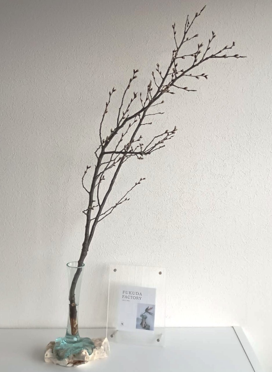 FLOWER VASE / フラワーベース | 流木ガラス専門店 FUKUDA FACTORY FLOWER VASE / フラワーベース | 流木ガラス専門店 FUKUDA FACTORY