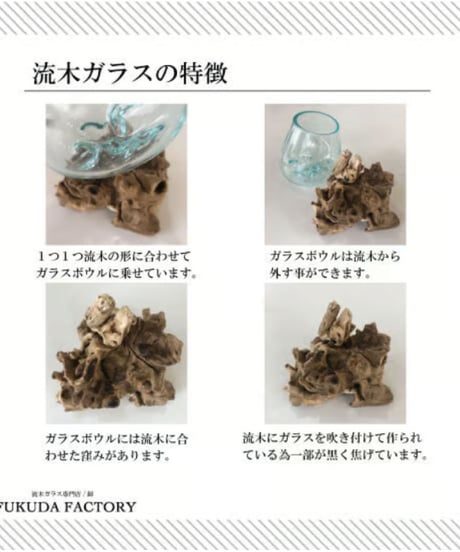 SPECIAL PRODUCT  スペシャルプロダクト / A