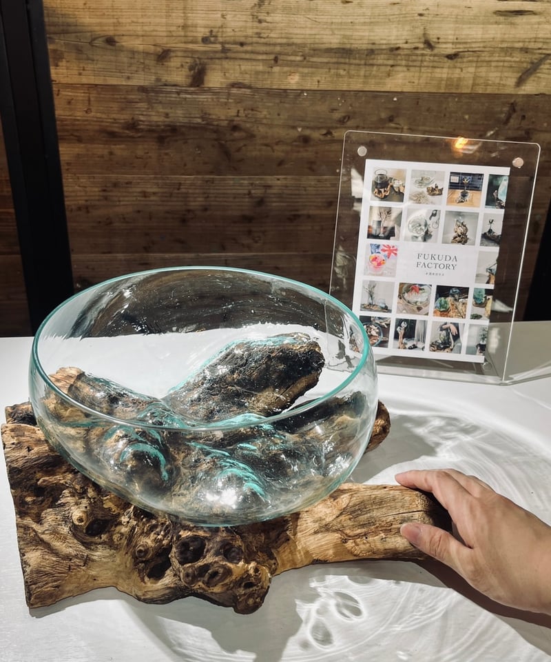 定価4.2万円 FUKUDA FACTORY 流木ガラス ベーシック / XL BASIC ベーシック / XL | 流木ガラス専門店 FUKUDA FACTORY