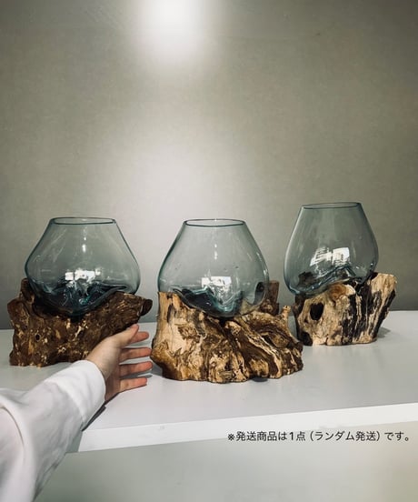 BASIC ベーシック / L