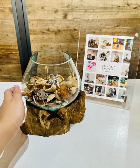 CATEGORY OUTLET SALE | 流木ガラス専門店 FUKUDA FACTORY