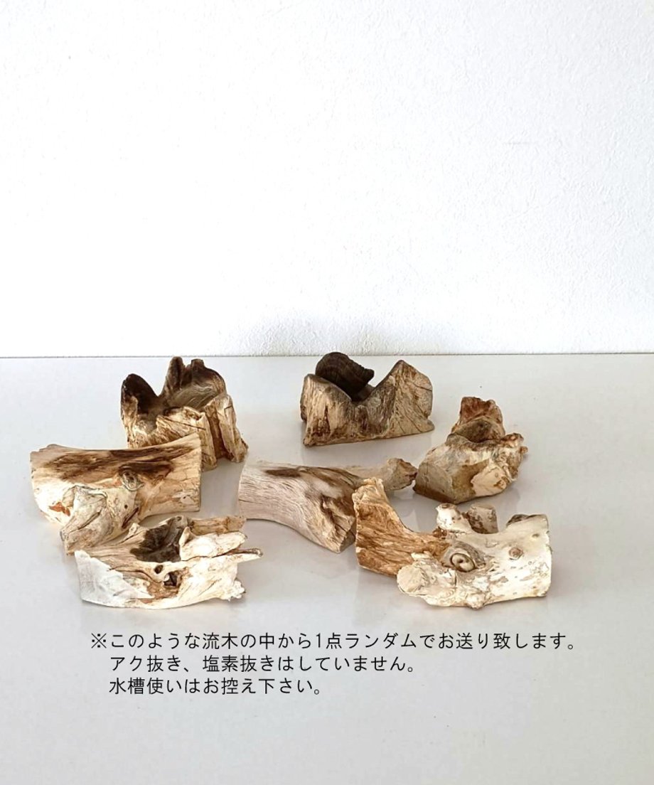 67d9150ccbce52272e9835b4