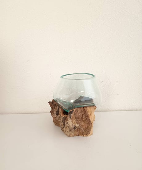 【219】BASIC ベーシック / Sサイズ  Feel The Garden 苔リウム作成キット SET