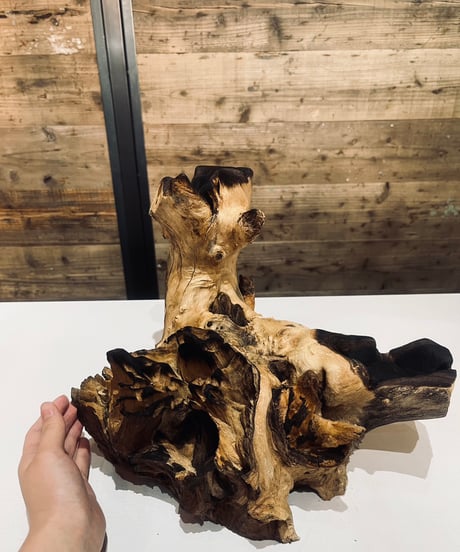 CATEGORY OUTLET SALE | 流木ガラス専門店 FUKUDA FACTORY