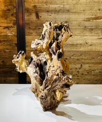 【OUTLET商品 現品商品No.400】 流木のみ（ガラスなし）