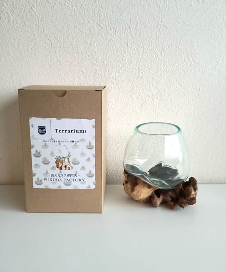 BASIC ベーシック / Sサイズ  Feel The Garden 苔リウム作成キット SET