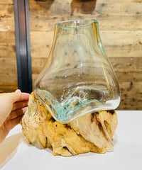 【現品商品No.M549】BASIC ベーシック / M Original color
