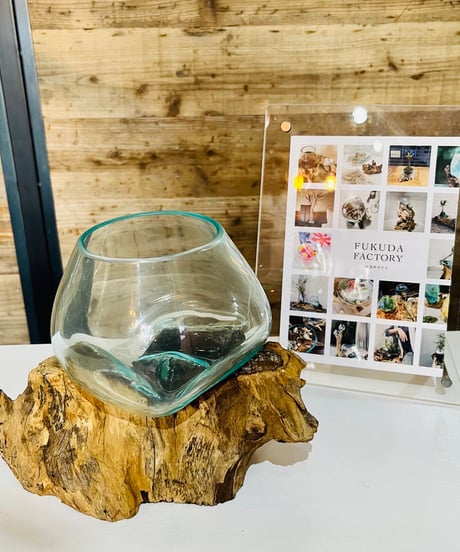 CATEGORY OUTLET SALE | 流木ガラス専門店 FUKUDA FACTORY