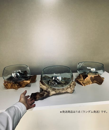 WIDE ワイド / XL