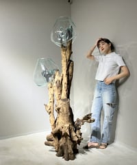 SPECIAL PRODUCT スペシャルプロダクト / L［No.L1205］