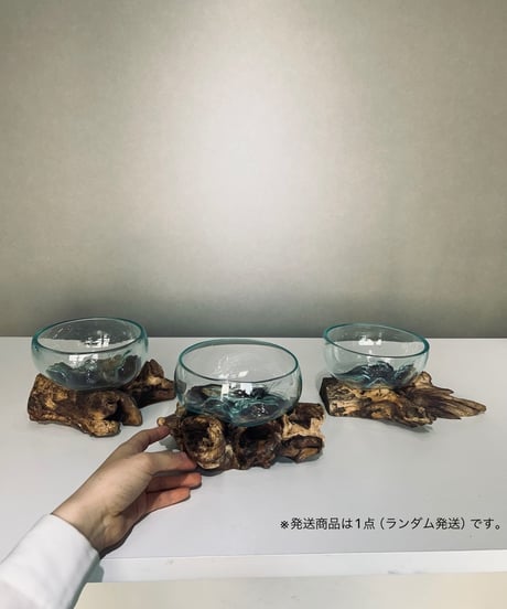 WIDE ワイド / M
