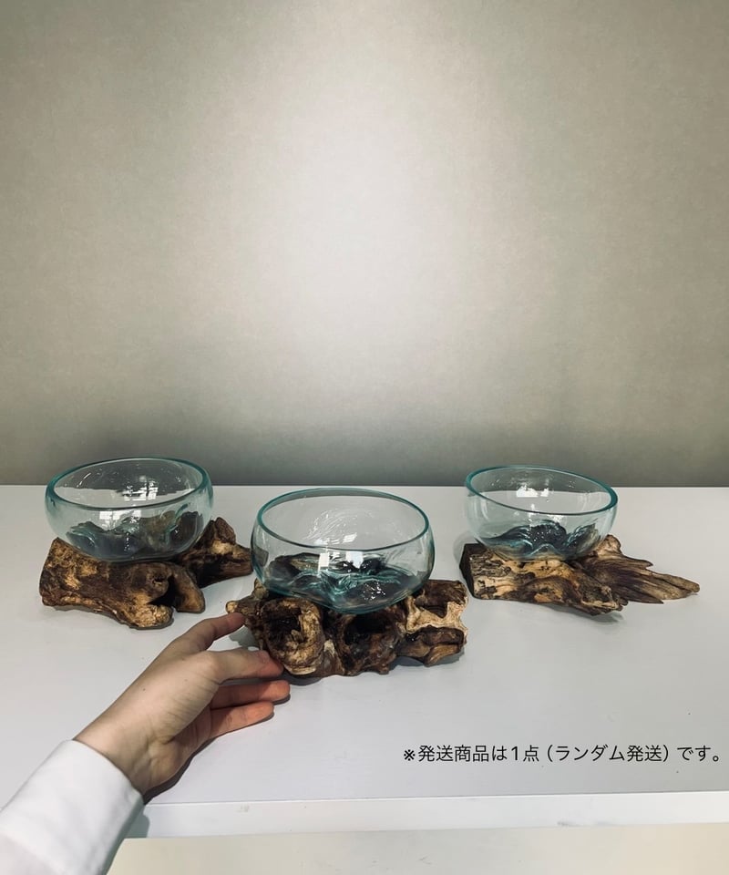 WIDE ワイド / M | 流木ガラス専門店 FUKUDA FACTORY